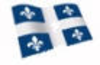 Quebec Flag Image